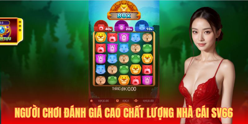 Người chơi đánh giá cao chất lượng nhà cái SV66 