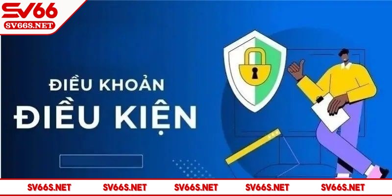 dieu-khoan-va-dieu-kien-qua-trinh-xac-minh